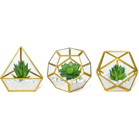 Artificial Succulent in 3 Pack Mini Glass Geometric Terrarium, Miniature - Picture 1 of 7